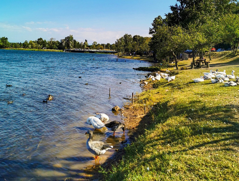 Piknik yapılacak en güzel alanlar… İstanbul, İzmir ve Ankara’ya yakın 20 adres