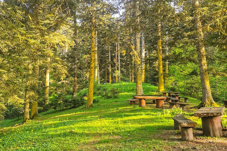 Piknik yapılacak en güzel alanlar… İstanbul, İzmir ve Ankara’ya yakın 20 adres