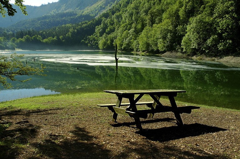 Piknik yapılacak en güzel alanlar… İstanbul, İzmir ve Ankara’ya yakın 20 adres
