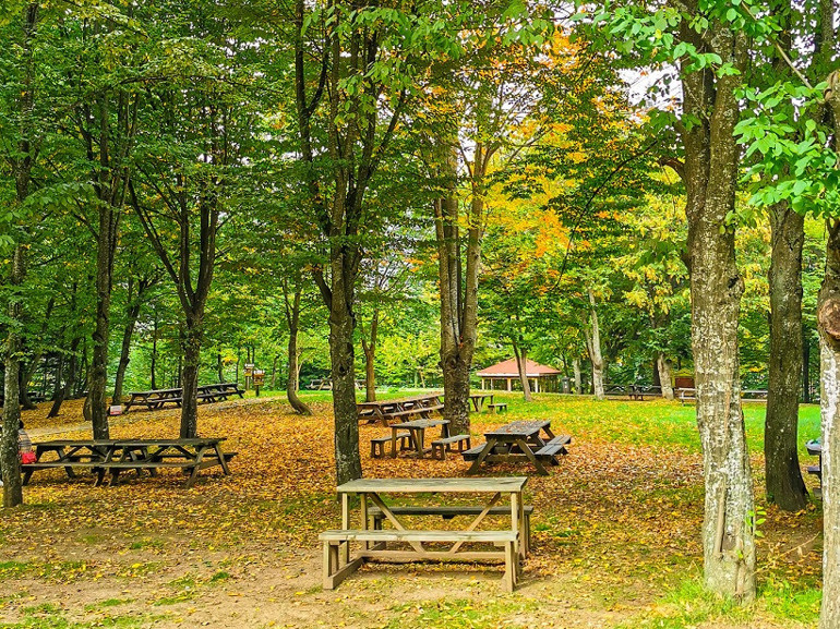 Piknik yapılacak en güzel alanlar… İstanbul, İzmir ve Ankara’ya yakın 20 adres