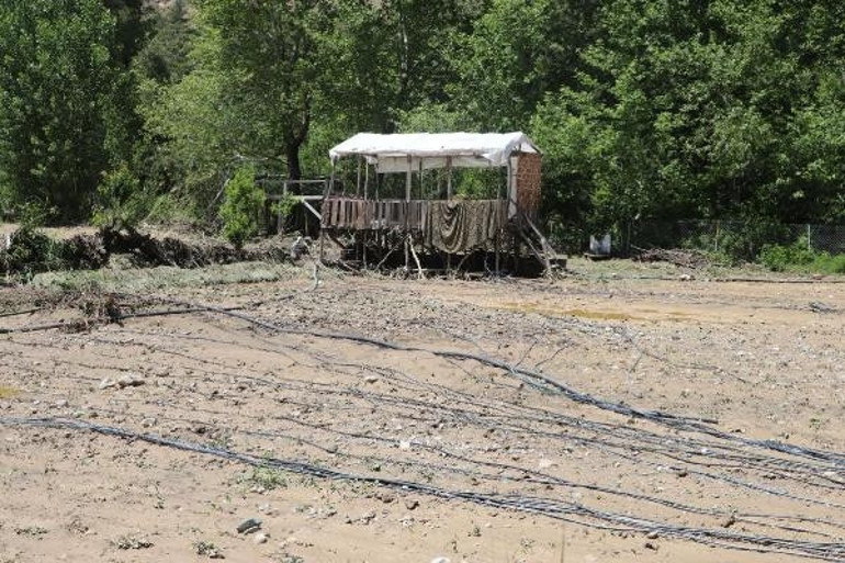 Denizlide dereler taştı; tarım arazileri ve evler su altında kaldı