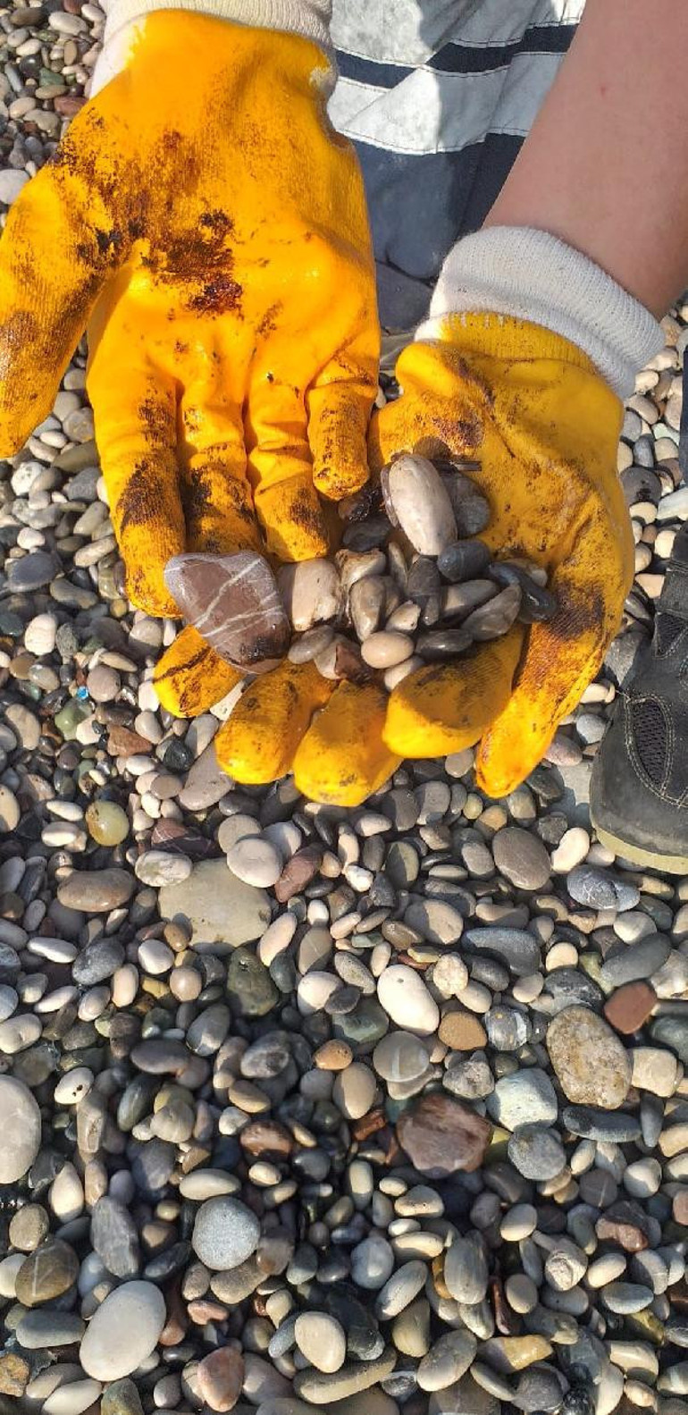 Antalya sahillerinde kirlilik alarmı Gece katılaşıyor, gündüz sıvıya dönüyor