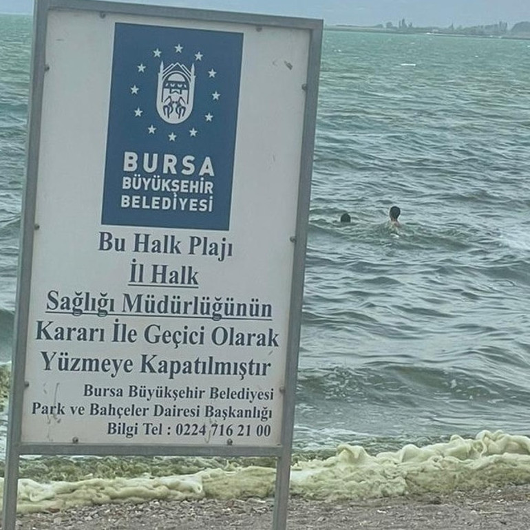 İznik Gölüne girmek yasaklandı Gölden alınan numuneler İstanbulda inceleniyor