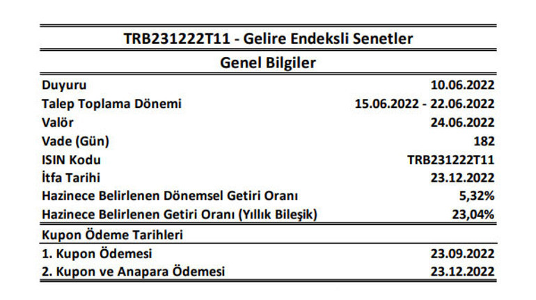 Son dakika: Gelire endeksli senet ihracı koşulları açıklandı