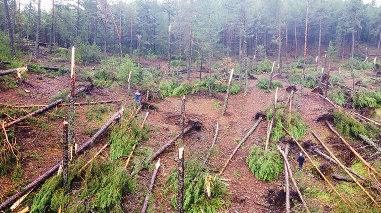 Ankara ve İstanbul dahil pek çok kentte şiddetli yağış... Yaz afeti Başkentte 3 kişi hayatını kaybetti
