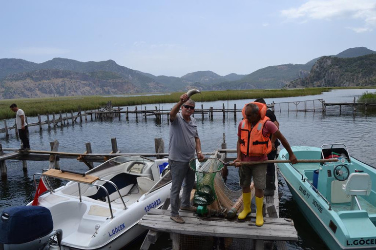 İngiliz geliyor siz de geliverin gari