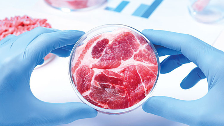 Diyanet: Yapay et helal değil