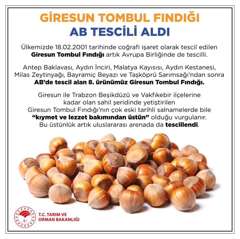 Giresunun Tombul Fındığı, AB tarafından tescillendi