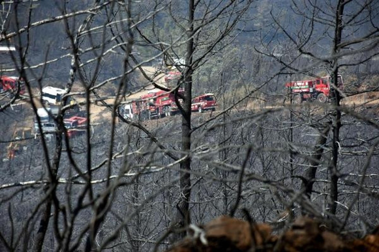 Son dakika... Marmaristeki orman yangınında üçüncü gün Bakan Kirişci: Evleri boşaltılan ailelere 3 bin TL ödeme yapıldı