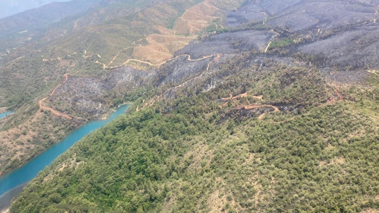 Son dakika... Marmaris yangınında 3üncü gün... Orman yangınını çıkaran zanlı tutuklandı