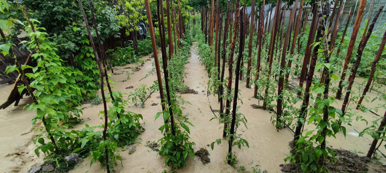 Zonguldak, Bartın, Kastamonu, Karabük ve Sinopta kuvvetli yağış Bakan Soylu: Daha büyük bir felaket olabilirdi