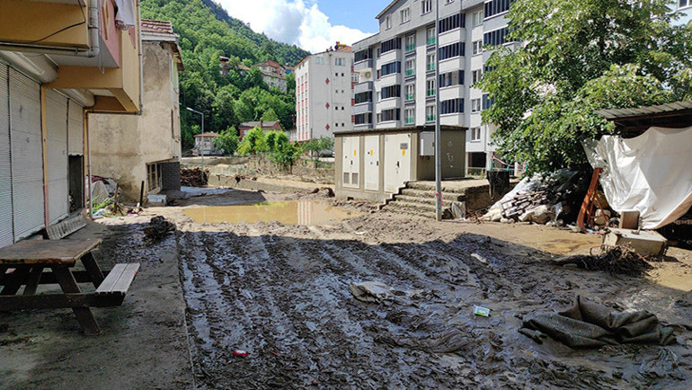 Sebep iklim değişikliği mi