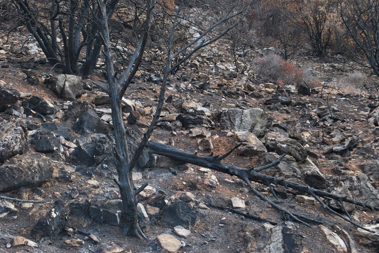 ‘Beyond Borders III’te Bodrum’dan izler sergileniyor