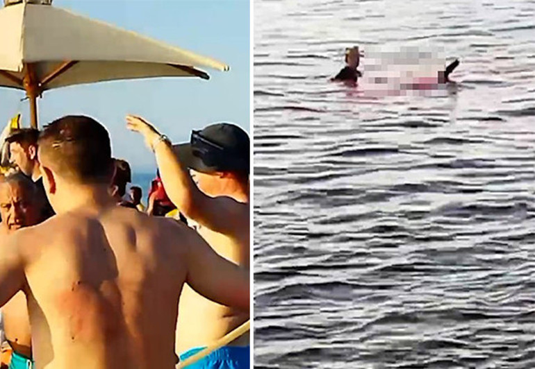 Kızıldenizde can pazarı... Köpekbalığı saldırdı Dehşet dolu anlar kamerada