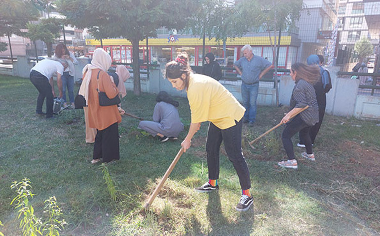 Ottan, tıbbi ve aromatik bitkilere
