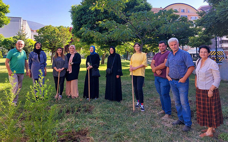 Ottan, tıbbi ve aromatik bitkilere