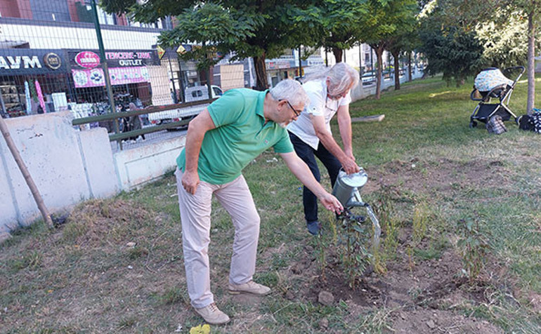 Ottan, tıbbi ve aromatik bitkilere