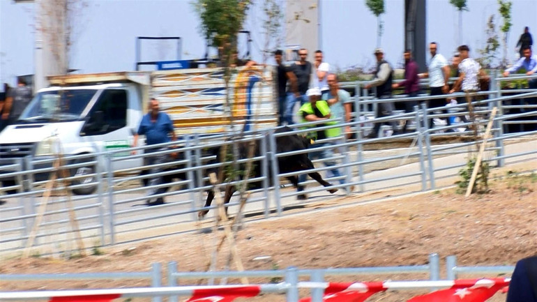 Panik anları... Kesim sırasında kaçan boğa, kalabalığın arasına koştu