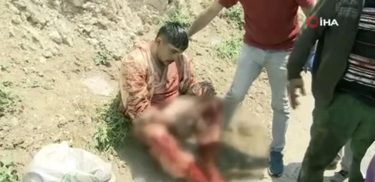 Firari boğalar panik yarattı
