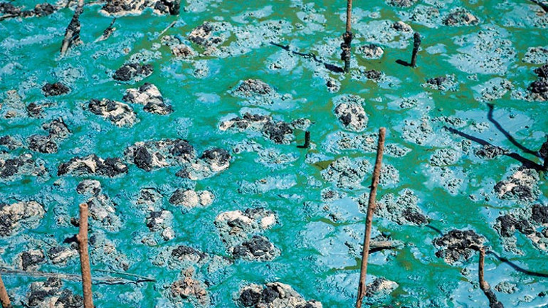 Sazlıdere Barajındaki görüntü korkutmuştu... İSKİden açıklama geldi: Doğal süreç