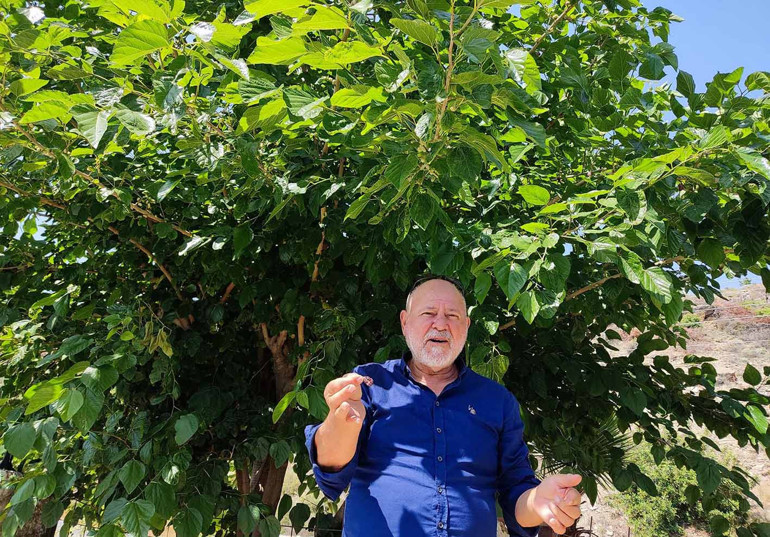 ‘Beton Krallığı’ndan tarlaya...