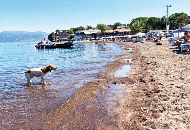 Soğuk su cennetinden iki müdavim oteli