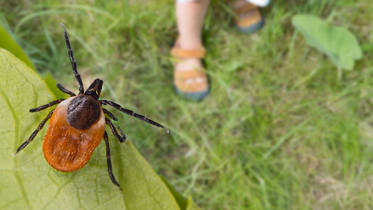 Havuzda kene yapıştı sonrasına başına gelenler hayatını alt üst etti