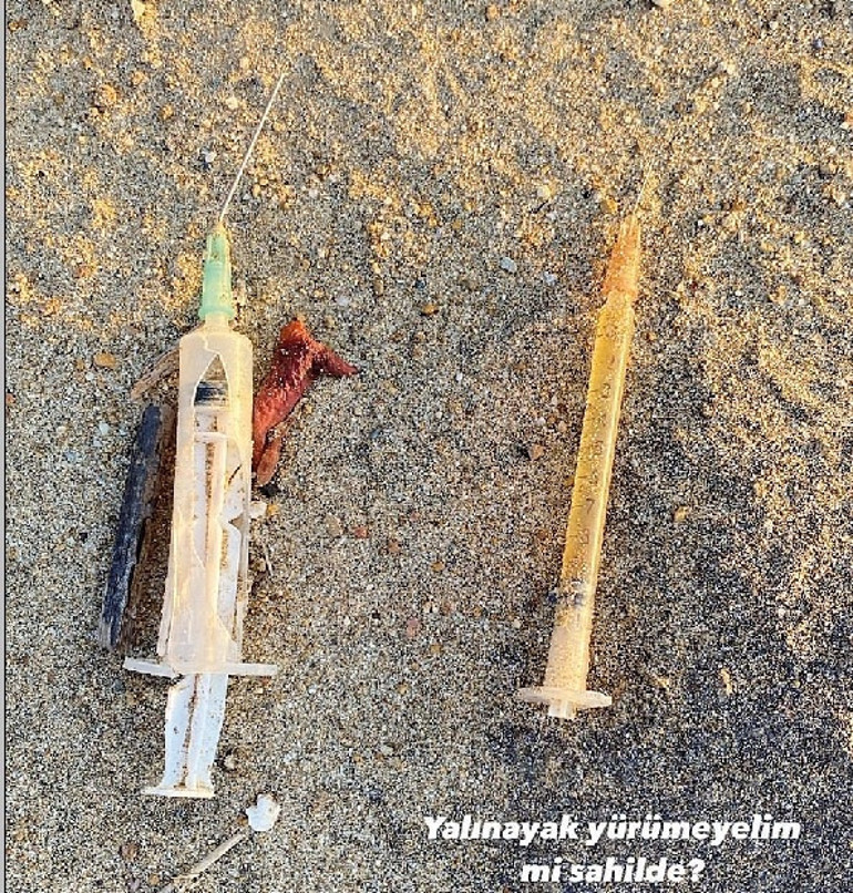 Yasemin Allen çevre faciasına isyan etti