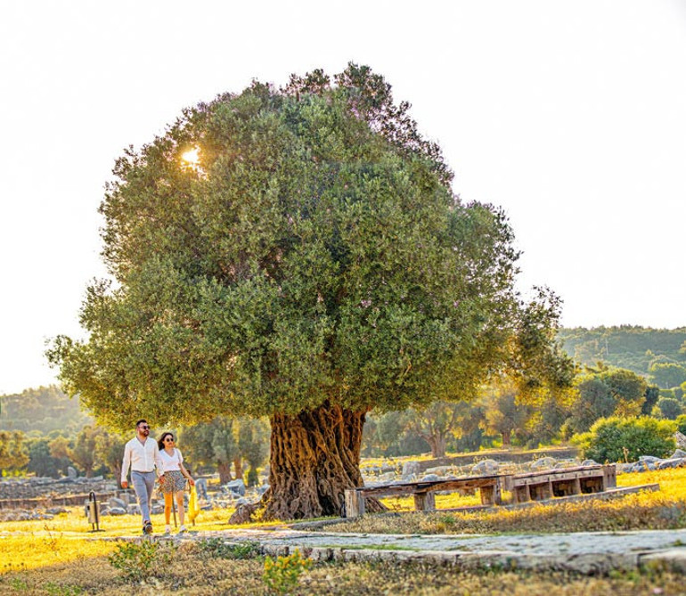 Egenin iki yakası bir araya gelebilir mi