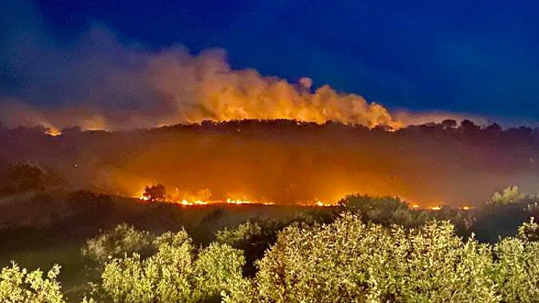 Diyarbakırda 3 ayrı noktadaki orman yangını 3 saatte söndürüldü
