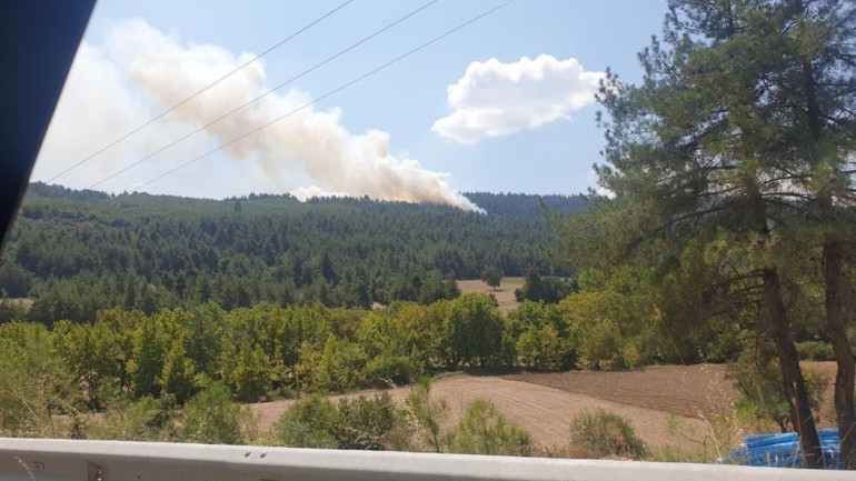 Bursada orman yangını