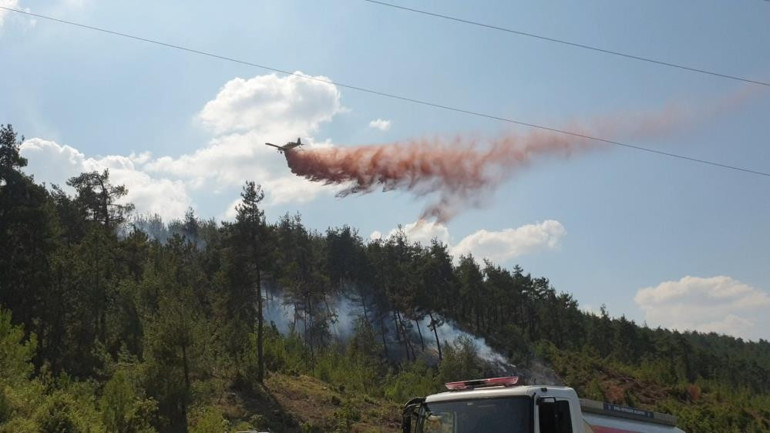 Bursada orman yangını