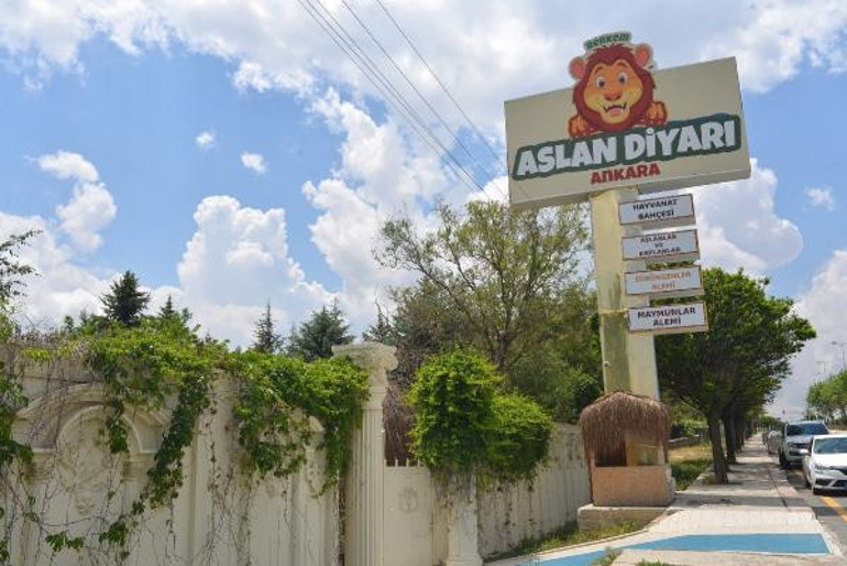 Ankarada aslanlar mahallenin kâbusu olmuştu... Ve karar verildi