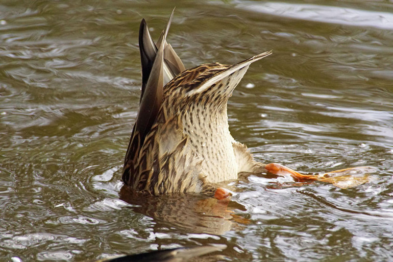 BİR SORUDAN FAZLASI | Neden hayatım sosyal medya hesabımdaki gibi değil