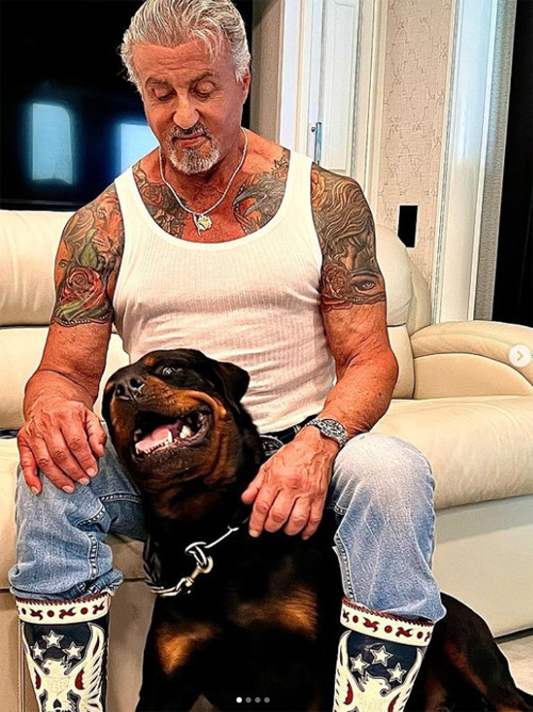 Onlar bu habere hiç şaşırmadı... Göz teması yasaktı, bize köpeklerin artıklarını yedirirlerdi