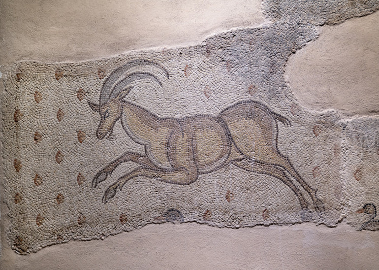 Türkiyede mutlaka görülmesi gereken müzeler... Hepsinde birbirinden özel eserler bulunuyor | 8 ŞEHİR 15 ADRES