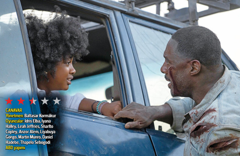 Yiğidim ‘aslanım’ı üzerlerse...