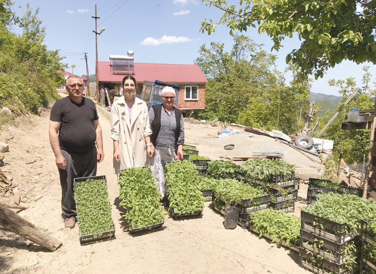 Karadeniz’de mangolu başarı İlk duyduğunda alay edenler şimdi eğitime katılıyor