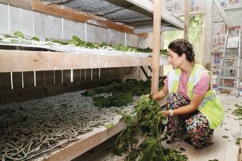 Karadeniz’de mangolu başarı İlk duyduğunda alay edenler şimdi eğitime katılıyor