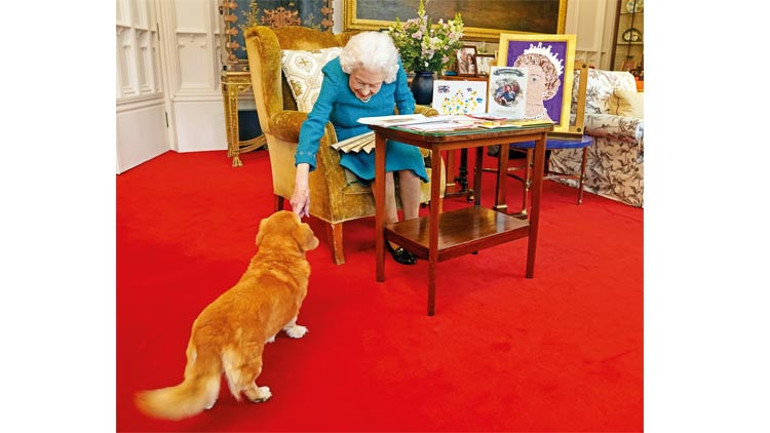 Kraliçe’nin Corgi’lerine kim bakacak