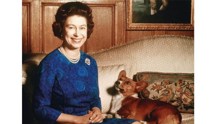 Kraliçe’nin Corgi’lerine kim bakacak