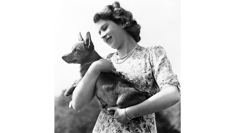 Kraliçe’nin Corgi’lerine kim bakacak