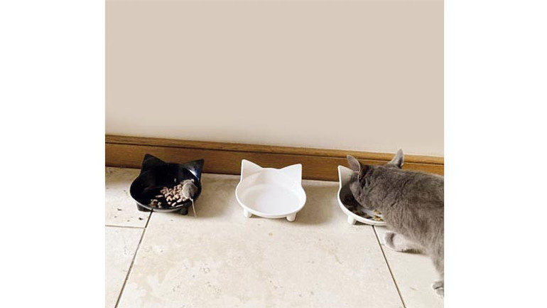 Kraliçe’nin Corgi’lerine kim bakacak