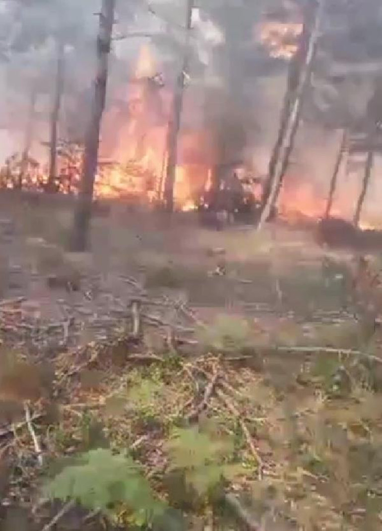 Tokatta orman yangını... 3 hektarlık alan zarar gördü