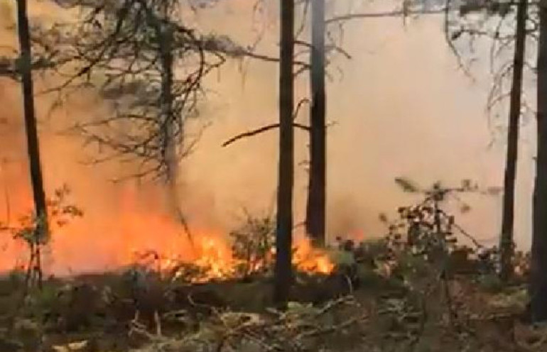 Tokat’ta aynı yerde ikinci kez orman yangını çıktı