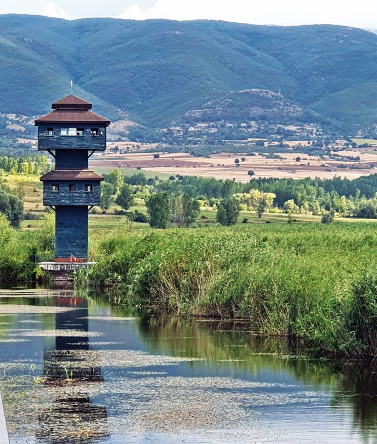 ‘Hey 15’li 15’li, Tokat yolları taşlı