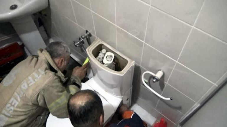 Avcılarda klozete düşen yavru kedi kurtarıldı