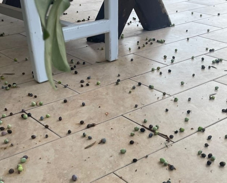 Kışa hazırlık başladı... Ünlü isim soluğu Ayvalıktaki evinde aldı