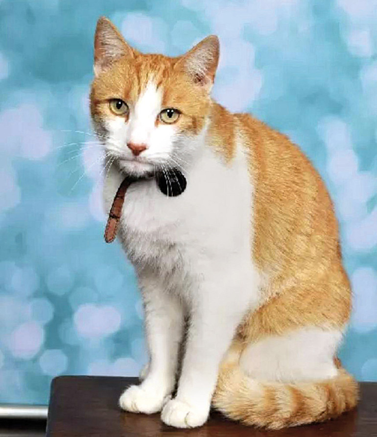 Stresimizi anlıyorlar