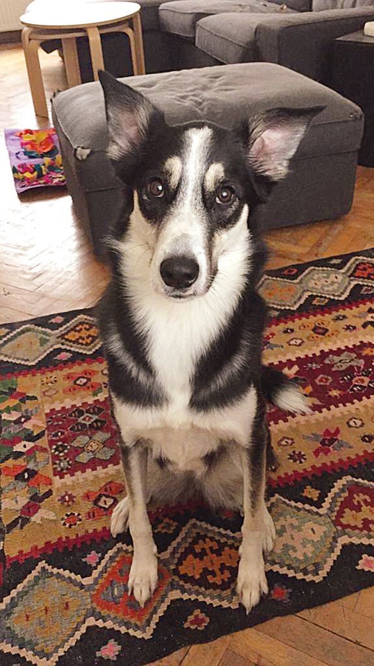 Stresimizi anlıyorlar